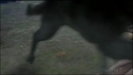 La Brea - Season 02 Episode 04